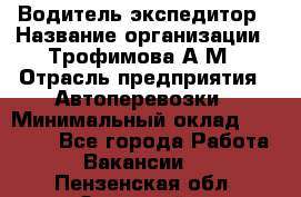 Водитель-экспедитор › Название организации ­ Трофимова А.М › Отрасль предприятия ­ Автоперевозки › Минимальный оклад ­ 65 000 - Все города Работа » Вакансии   . Пензенская обл.,Заречный г.